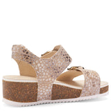 ARA NOVA CAMEL