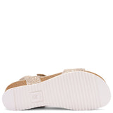 ARA NOVA CAMEL