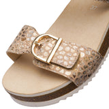 ARA NOVA CAMEL