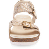 ARA NOVA CAMEL