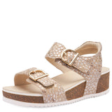 ARA NOVA CAMEL