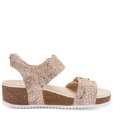 ARA NOVA CAMEL