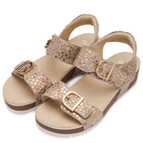 ARA NOVA CAMEL