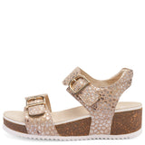 ARA NOVA CAMEL