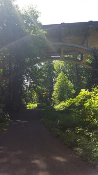 Ravenna Park bridge and trail