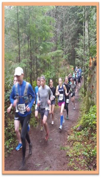 Runners on trail