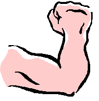 Muscular arm clip art