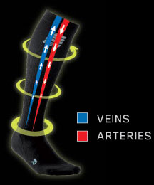 Veins/Arteries in compression